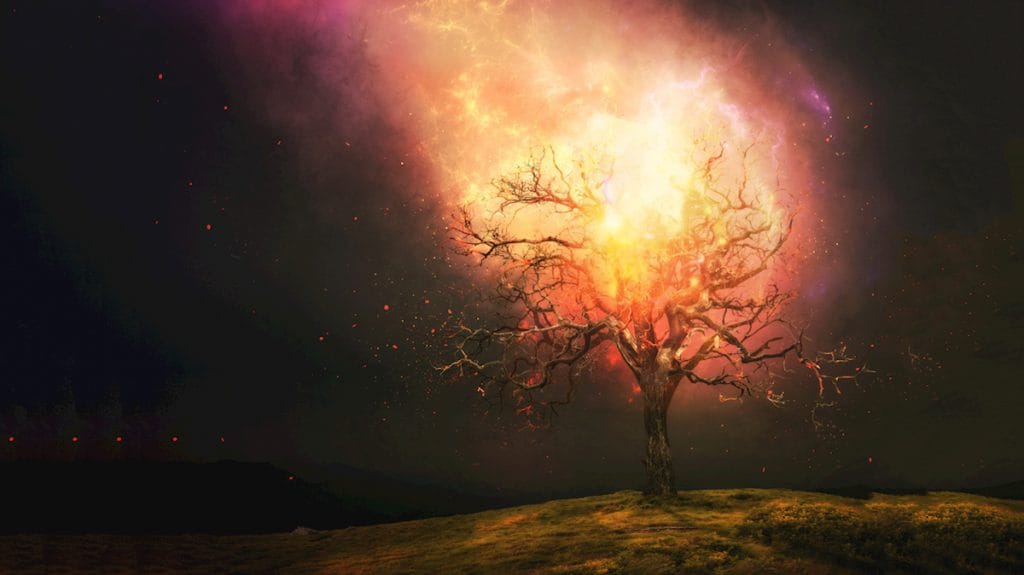 Essence Energy Distinction